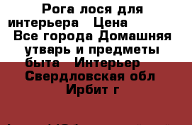 Рога лося для интерьера › Цена ­ 3 300 - Все города Домашняя утварь и предметы быта » Интерьер   . Свердловская обл.,Ирбит г.